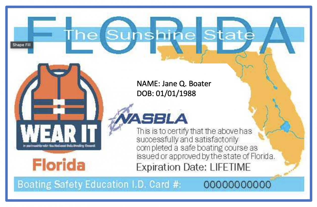 Naples school of boating florida boating license